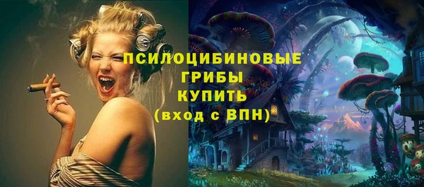сатива Абдулино
