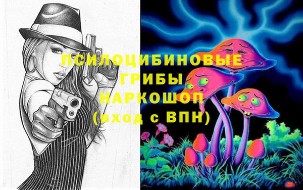 ПСИЛОЦИБИНОВЫЕ ГРИБЫ Алексеевка