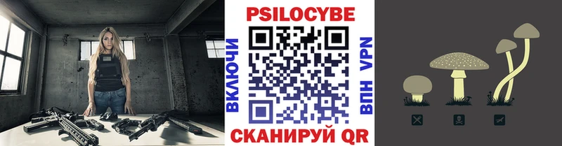 МЕГА сайт  закладки  Чердынь  Галлюциногенные грибы Psilocybine cubensis 